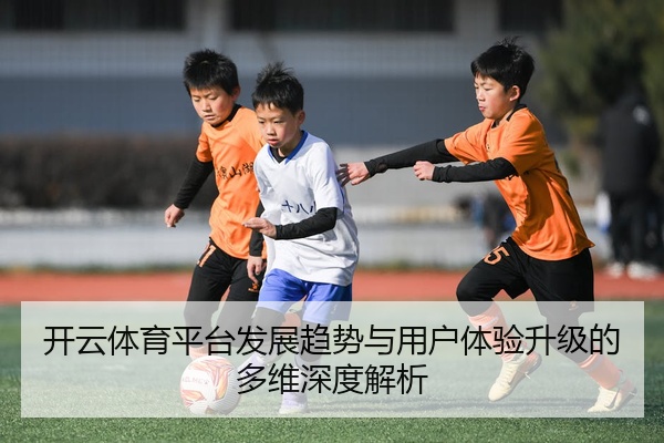 开云体育平台发展趋势与用户体验升级的多维深度解析